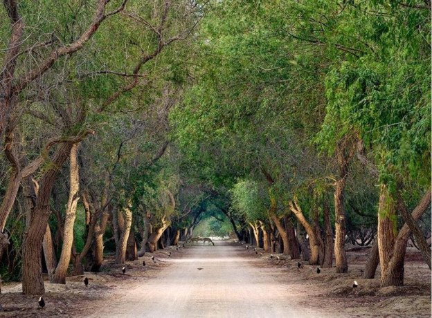 arady-llbyaa-aaly-albhr-dakhl-mhmy-alghntot-big-2