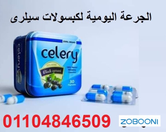 kbsolat-sylr-lltkhsys-celery-big-3