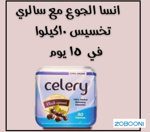 kbsolat-sylr-lltkhsys-celery-big-2