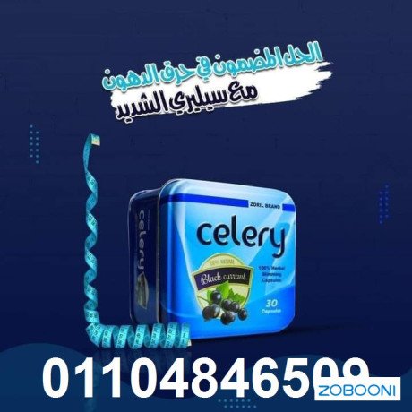 kbsolat-sylr-lltkhsys-celery-big-1