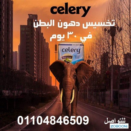 kbsolat-sylr-lltkhsys-celery-big-0