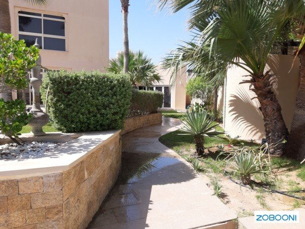 fll-llbyaa-fy-ras-alkhym-aksat-5snoat-big-1