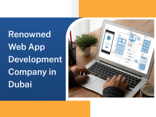 trending-web-app-development-company-dubai-toxsl-technologies