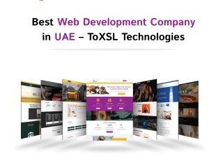 most-prefect-web-development-company-in-dubai-toxsl-technologies