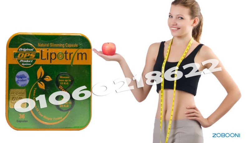 kbsolat-lybotrym-lnht-algsm-otnsyk-alkoam-big-0