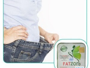 fat-zorb-alfrnsy-lltkhsys-36-kbsol-fatzorb