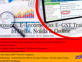best-accounting-course-in-delhi-learn-direct-tax-code-2025-110070-after-12th-and-graduation-by-sla-accounting-taxation-and-erp